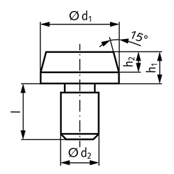 Aufnahmebolzen DIN 6321 Form B, zylindrisch, mit Konus, Technische Zeichnung