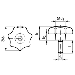 Sterngriffschraube ähnlich DIN 6336 Ausführung ST Ø32mm M6 x 16 , Technische Zeichnung