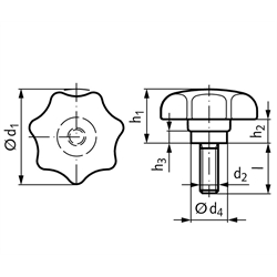 Sterngriffschraube ähnlich DIN 6336 Ausführung TE Ø40mm M8 x 20 , Technische Zeichnung