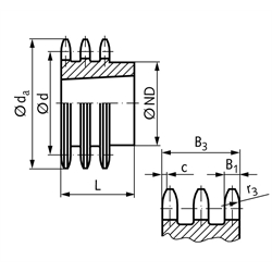 Dreifach-Kettenräder DRT 20 B-3, Teilung 1 1/4'' x 3/4'', Technische Zeichnung