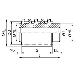 Hohlschnecken aus Stahl, zweigängig rechts, Modul 3 und 4, Technische Zeichnung