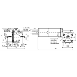 Kleingetriebemotor SE mit Gleichstrommotor 24V Größe 1 n2=822 /min i=7,3:1 , Technische Zeichnung