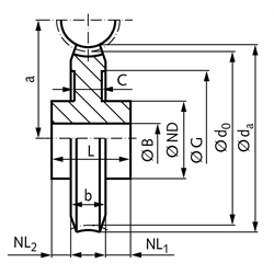 Schneckenräder aus Grauguss, eingängig rechts, Modul 3, Technische Zeichnung