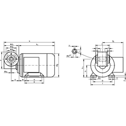 Schneckengetriebemotor MH mit Hohlwelle 250 Watt 230/400V 50Hz IE2 i=20:1 Abtriebsdrehzahl ca. 140 /min Md2=10Nm (Betriebsanleitung im Internet unter www.maedler.de im Bereich Downloads), Technische Zeichnung