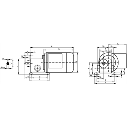 Schneckengetriebemotor RL 120 Watt 230/400V 50Hz IE2 i=1250:1 Abtriebsdrehzahl ca. 2,2 /min zulässiges Md2=6,1Nm (Betriebsanleitung im Internet unter www.maedler.de im Bereich Downloads), Technische Zeichnung