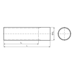 Zahnwelle Profil T2,5 21 Zähne Länge 120mm Material Aluminium , Technische Zeichnung